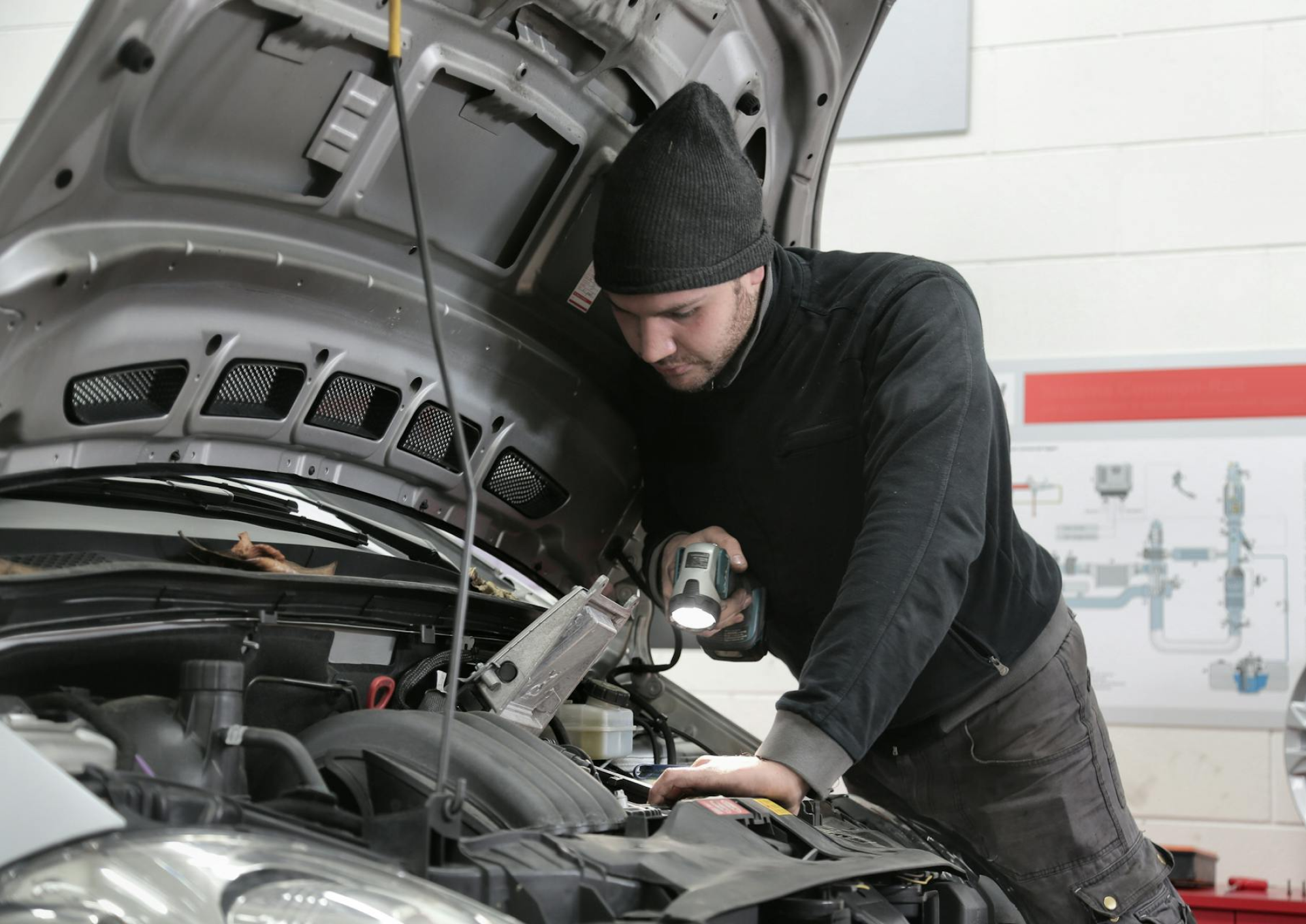 Изображение Эндоскопия ДВС